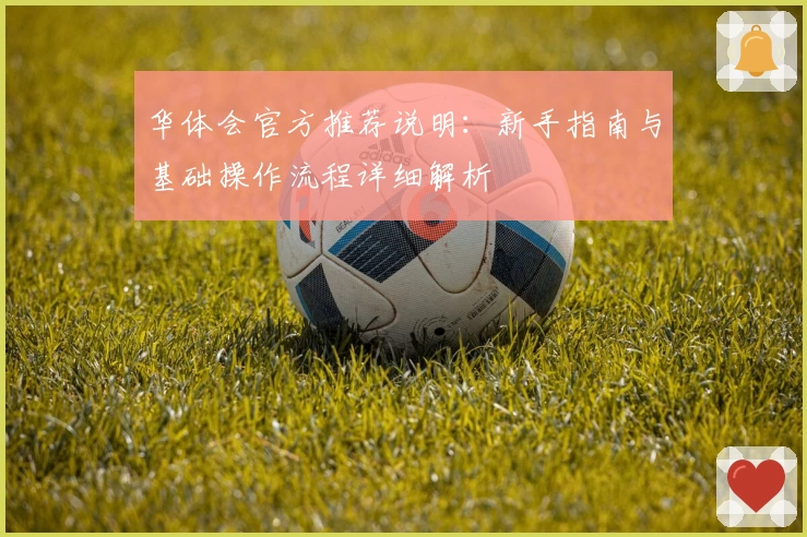 华体会官方推荐说明：新手指南与基础操作流程详细解析